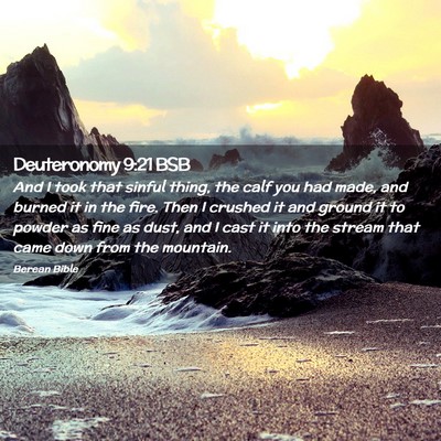 Picture 02 - Deuteronomy 9:21 BSB - And I took that sinful thing, the calf you had - Bible Verse Picture