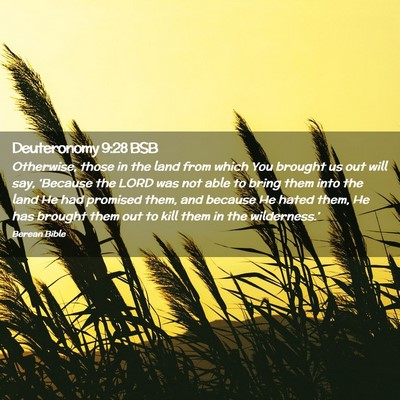 Picture 02 - Deuteronomy 9:28 BSB - Otherwise, those in the land from which You - Bible Verse Picture