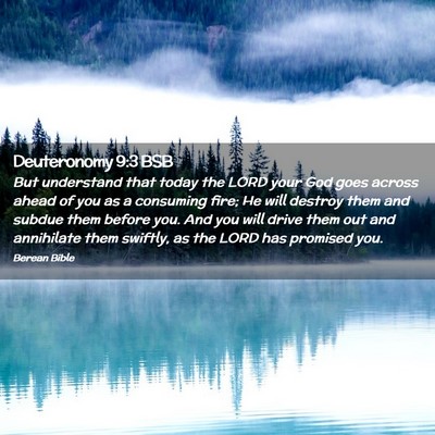Picture 02 - Deuteronomy 9:3 BSB - But understand that today the LORD your God goes - Bible Verse Picture