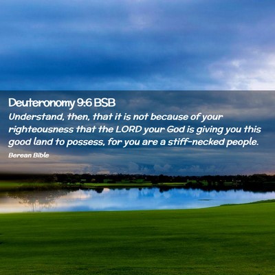 Picture 02 - Deuteronomy 9:6 BSB - Understand, then, that it is not because of your - Bible Verse Picture