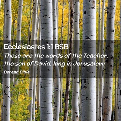 Picture 02 - Ecclesiastes 1:1 BSB - These are the words of the Teacher, the son of - Bible Verse Picture