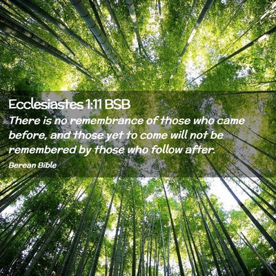 Picture 02 - Ecclesiastes 1:11 BSB - There is no remembrance of those who came before, - Bible Verse Picture