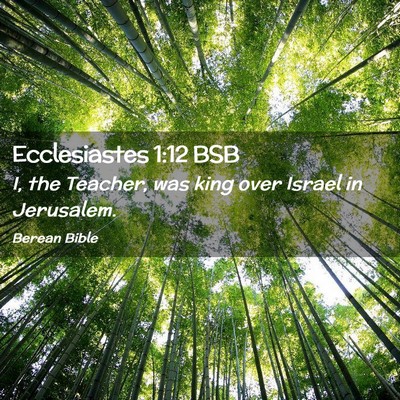 Picture 02 - Ecclesiastes 1:12 BSB - I, the Teacher, was king over Israel in - Bible Verse Picture