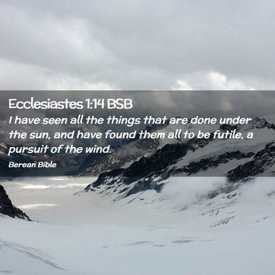 Picture 02 - Ecclesiastes 1:14 BSB - I have seen all the things that are done under - Bible Verse Picture