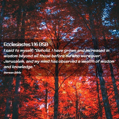 Picture 02 - Ecclesiastes 1:16 BSB - I said to myself, “Behold, I have grown and - Bible Verse Picture