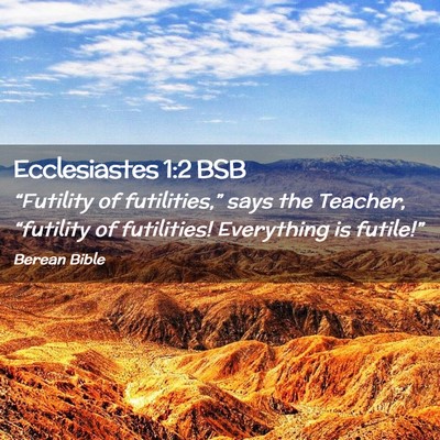 Picture 02 - Ecclesiastes 1:2 BSB - “Futility of futilities,” says the Teacher, - Bible Verse Picture