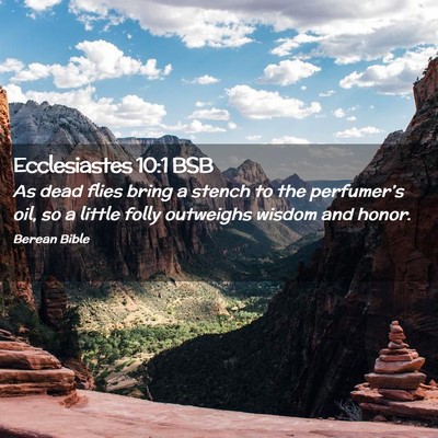 Picture 02 - Ecclesiastes 10:1 BSB - As dead flies bring a stench to the perfumer’s - Bible Verse Picture