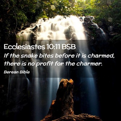 Picture 02 - Ecclesiastes 10:11 BSB - If the snake bites before it is charmed, there is - Bible Verse Picture