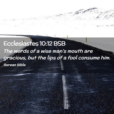Picture 02 - Ecclesiastes 10:12 BSB - The words of a wise man’s mouth are gracious, - Bible Verse Picture
