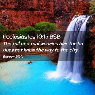 Picture 02 - Ecclesiastes 10:15 BSB - The toil of a fool wearies him, for he does not - Bible Verse Picture