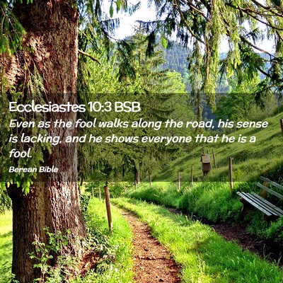 Picture 02 - Ecclesiastes 10:3 BSB - Even as the fool walks along the road, his sense - Bible Verse Picture