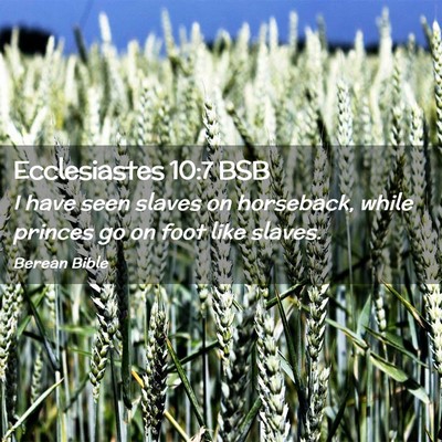 Picture 02 - Ecclesiastes 10:7 BSB - I have seen slaves on horseback, while princes go - Bible Verse Picture