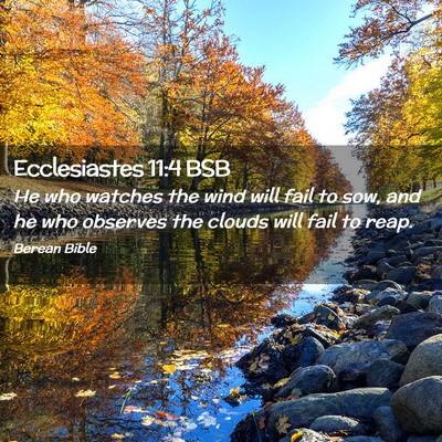 Picture 02 - Ecclesiastes 11:4 BSB - He who watches the wind will fail to sow, and he - Bible Verse Picture