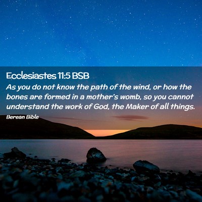 Picture 02 - Ecclesiastes 11:5 BSB - As you do not know the path of the wind, or how - Bible Verse Picture