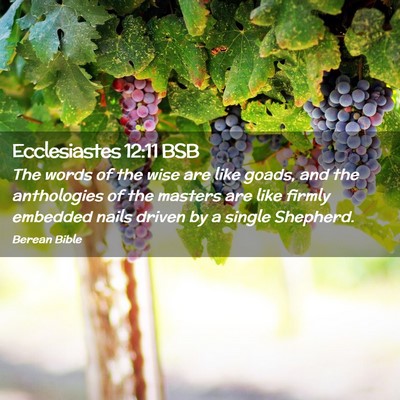 Picture 02 - Ecclesiastes 12:11 BSB - The words of the wise are like goads, and the - Bible Verse Picture