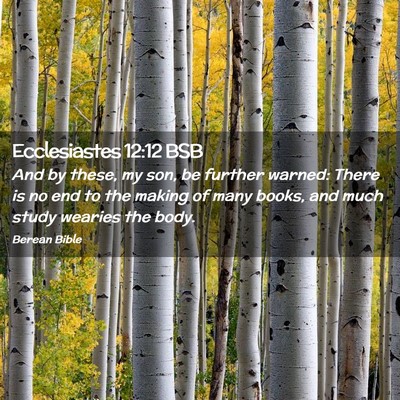 Picture 02 - Ecclesiastes 12:12 BSB - And by these, my son, be further warned: There is - Bible Verse Picture