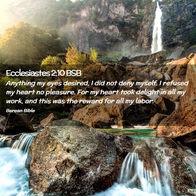 Picture 02 - Ecclesiastes 2:10 BSB - Anything my eyes desired, I did not deny myself. - Bible Verse Picture