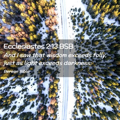 Picture 02 - Ecclesiastes 2:13 BSB - And I saw that wisdom exceeds folly, just as - Bible Verse Picture