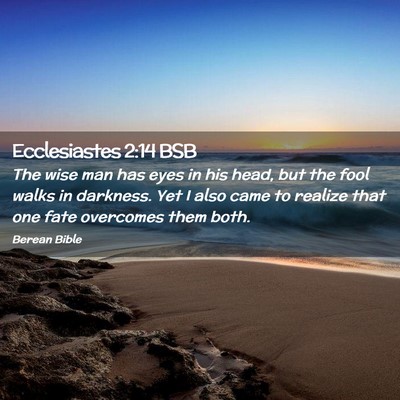 Picture 02 - Ecclesiastes 2:14 BSB - The wise man has eyes in his head, but the fool - Bible Verse Picture