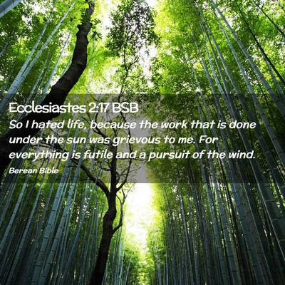 Picture 02 - Ecclesiastes 2:17 BSB - So I hated life, because the work that is done - Bible Verse Picture