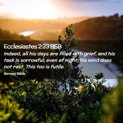 Picture 02 - Ecclesiastes 2:23 BSB - Indeed, all his days are filled with grief, and - Bible Verse Picture