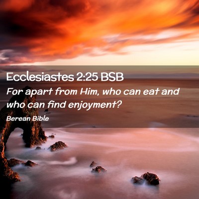 Picture 02 - Ecclesiastes 2:25 BSB - For apart from Him, who can eat and who can find - Bible Verse Picture