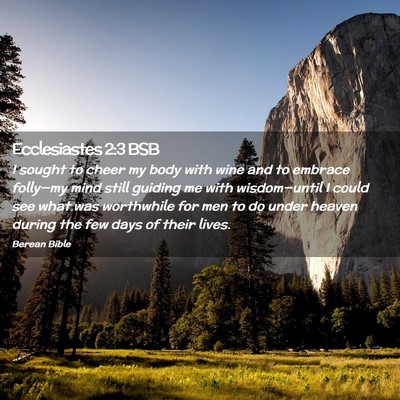Picture 02 - Ecclesiastes 2:3 BSB - I sought to cheer my body with wine and to - Bible Verse Picture