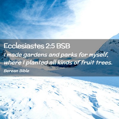 Picture 02 - Ecclesiastes 2:5 BSB - I made gardens and parks for myself, where I - Bible Verse Picture