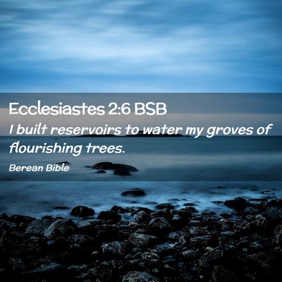 Picture 02 - Ecclesiastes 2:6 BSB - I built reservoirs to water my groves of - Bible Verse Picture