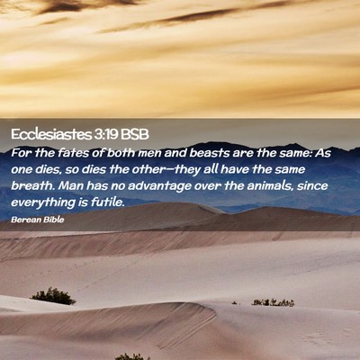 Picture 02 - Ecclesiastes 3:19 BSB - For the fates of both men and beasts are the - Bible Verse Picture
