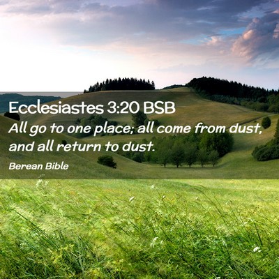 Picture 02 - Ecclesiastes 3:20 BSB - All go to one place; all come from dust, and all - Bible Verse Picture