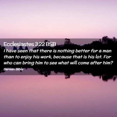 Picture 02 - Ecclesiastes 3:22 BSB - I have seen that there is nothing better for a - Bible Verse Picture