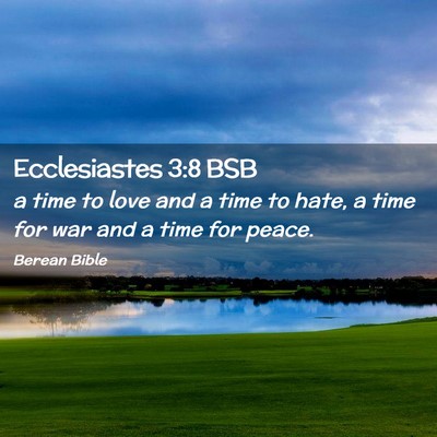 Picture 02 - Ecclesiastes 3:8 BSB - a time to love and a time to hate, a time for war - Bible Verse Picture