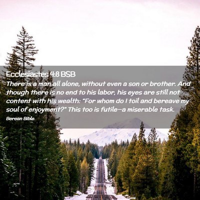 Picture 02 - Ecclesiastes 4:8 BSB - There is a man all alone, without even a son or - Bible Verse Picture