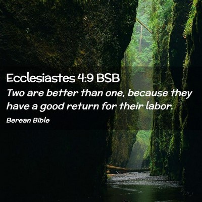 Picture 02 - Ecclesiastes 4:9 BSB - Two are better than one, because they have a good - Bible Verse Picture