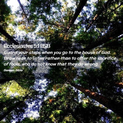 Picture 02 - Ecclesiastes 5:1 BSB - Guard your steps when you go to the house of God. - Bible Verse Picture