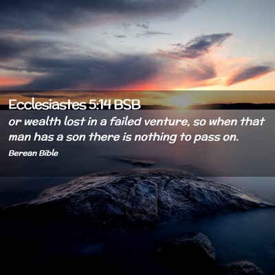 Picture 02 - Ecclesiastes 5:14 BSB - or wealth lost in a failed venture, so when that - Bible Verse Picture