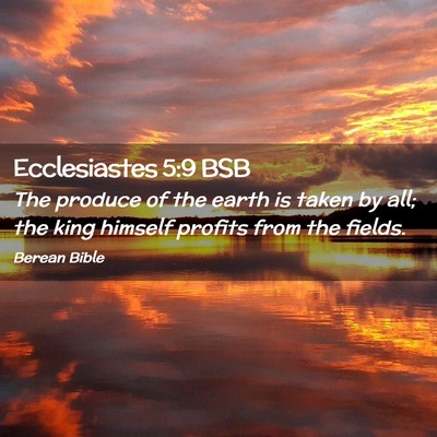Picture 02 - Ecclesiastes 5:9 BSB - The produce of the earth is taken by all; the - Bible Verse Picture
