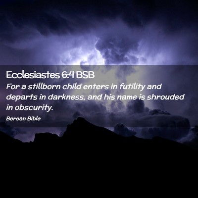 Picture 02 - Ecclesiastes 6:4 BSB - For a stillborn child enters in futility and - Bible Verse Picture