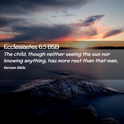 Picture 02 - Ecclesiastes 6:5 BSB - The child, though neither seeing the sun nor - Bible Verse Picture