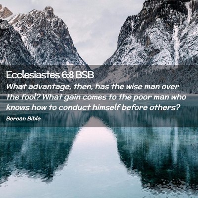 Picture 02 - Ecclesiastes 6:8 BSB - What advantage, then, has the wise man over the - Bible Verse Picture