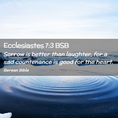 Picture 02 - Ecclesiastes 7:3 BSB - Sorrow is better than laughter, for a sad - Bible Verse Picture