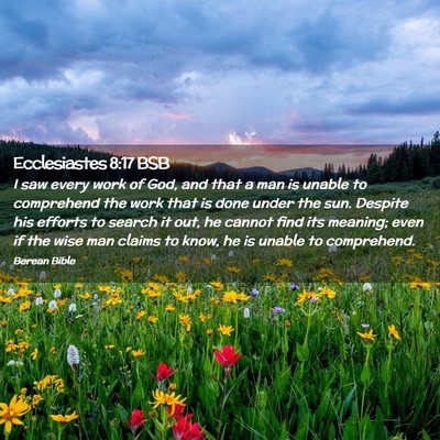 Picture 02 - Ecclesiastes 8:17 BSB - I saw every work of God, and that a man is unable - Bible Verse Picture