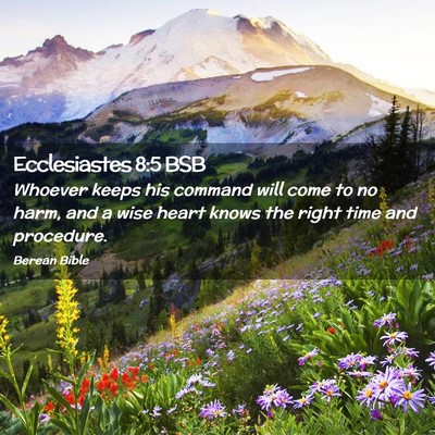 Picture 02 - Ecclesiastes 8:5 BSB - Whoever keeps his command will come to no harm, - Bible Verse Picture