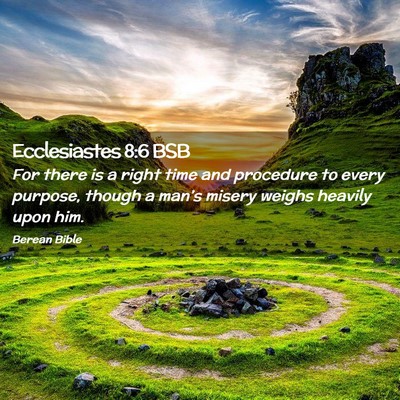Picture 02 - Ecclesiastes 8:6 BSB - For there is a right time and procedure to every - Bible Verse Picture
