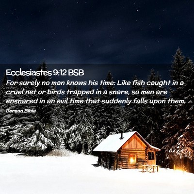 Picture 02 - Ecclesiastes 9:12 BSB - For surely no man knows his time: Like fish - Bible Verse Picture