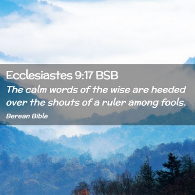Picture 02 - Ecclesiastes 9:17 BSB - The calm words of the wise are heeded over the - Bible Verse Picture