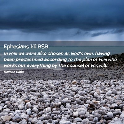 Picture 02 - Ephesians 1:11 BSB - In Him we were also chosen as God’s own, having - Bible Verse Picture