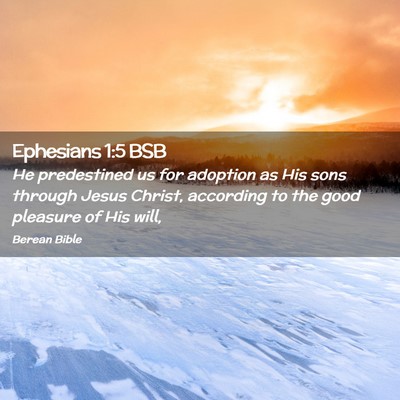 Picture 02 - Ephesians 1:5 BSB - He predestined us for adoption as His sons - Bible Verse Picture