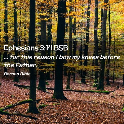Picture 02 - Ephesians 3:14 BSB - ... for this reason I bow my knees before the - Bible Verse Picture